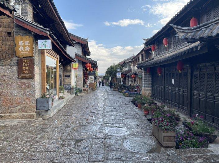 河南：买花迎春，鲜花市场供销两旺
